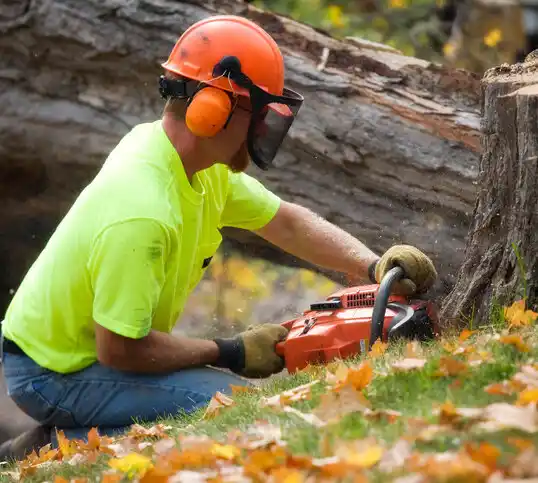 tree services Wyoming